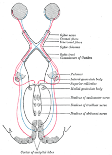 Parinauds syndrome