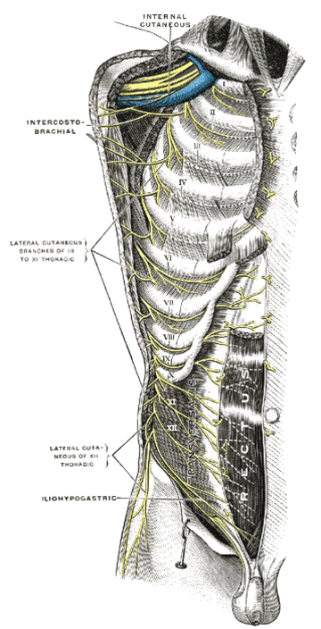 Intercostal nerve block