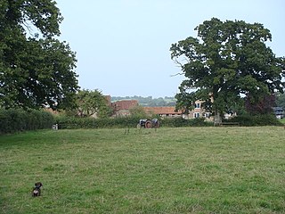 Grove Farm, Somerset