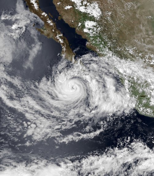 1979 Pacific hurricane season