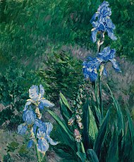 Gustave Caillebotte - Iris bleus, jardin du Petit Gennevilliers.jpg