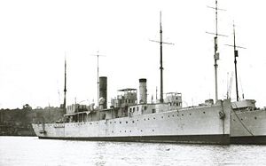 HMS Bryony as a Q-ship HMS Bryony (1917).jpg