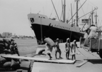 Hafenarbeiter bei der Verladung von Sackgut - MS Rothenstein NDL, Port Sudan 1960.png