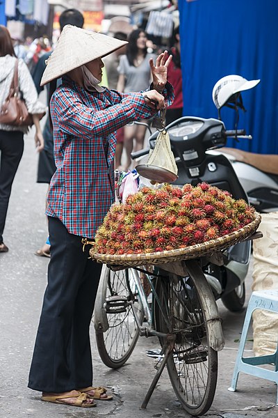 File:Hanoi Vietnam Hawker-selling-Nephelium-lappaceum-01.jpg