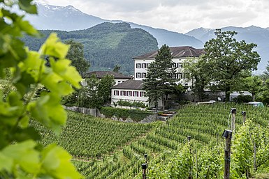 Haus Gutenberg und Umgebung