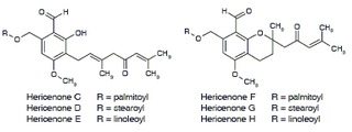 <span class="mw-page-title-main">Hericenone</span> Class of chemical compounds