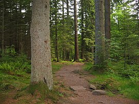 Hermitage, Dunkeld5.jpg