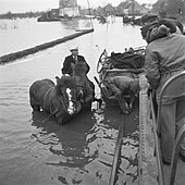Minister Clement Attlee visiting inundated Walcheren in March 1945