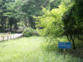 公園適地として生産緑地指定された森林 There is designated "Seisan Ryokuchi" (productive green area) proposed for park.