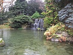 Highfields Park Cascade 9121.JPG