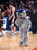 Jack the Bulldog, in costumed form, as the Georgetown Hoyas' Mascot at a basketball game.