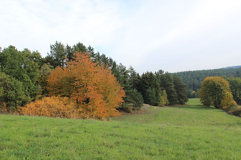 File:Hrazany - okres Písek (0051).jpg