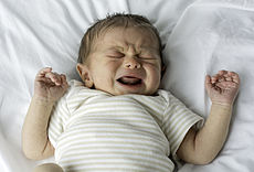 Human-Male-White-Newborn-Baby-Crying.jpg