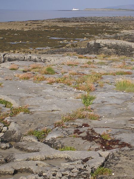 File:Inishmore - 028.jpg