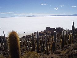 Isla de Pescado Uyuni Bolivia.jpg