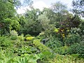 Miniatuur voor Bestand:Jardins de Castillon-Plantbessin Le Jardin d'eau en juillet 2018.jpg