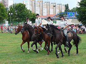 Polizia a cavallo slovacca