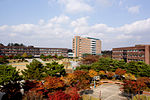 Thumbnail for Koreya milliy ta'lim universiteti
