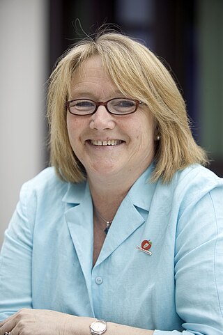 <span class="mw-page-title-main">Karin S. Woldseth</span> Norwegian politician