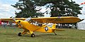 Piper PA-18 Super Cub D-ESMV