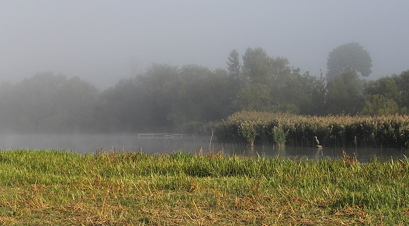 File:Komargorod pond 2013 G4.jpg