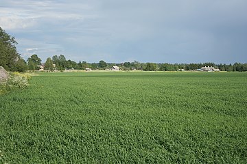 Vista del pueblo de Korchany desde el campo