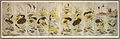 Korean folding screen, ink and color paintings of lotus, fish and birds, 19th century, Chosôn dynasty, Honolulu Academy of Arts.jpg
