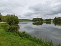 L'étang de la Forêt.