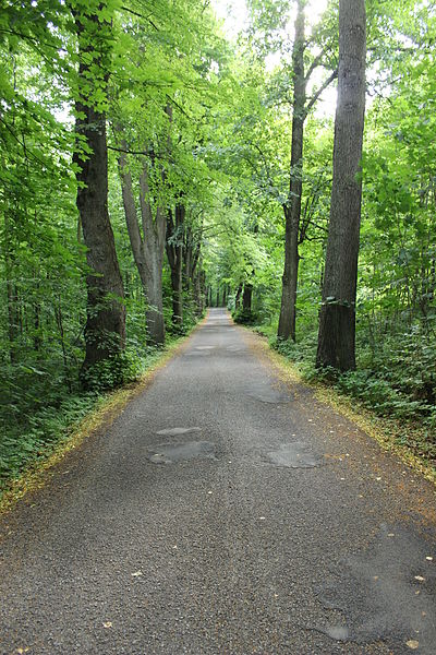 File:Lázně Libverda, silnice u pomníku Vratislava Šindeláře (2).jpg