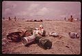 LITTERED BEACH AT ISLE OF PALMS - NARA - 546965.jpg