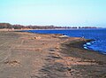 The shore of Lake Erie as seen from Long Point