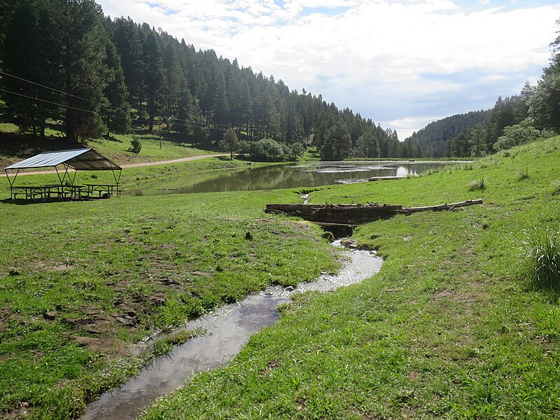 File:Lake in Camp Wehinahpay.jpg