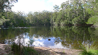<span class="mw-page-title-main">Mount Jerusalem National Park</span> Protected area in New South Wales, Australia
