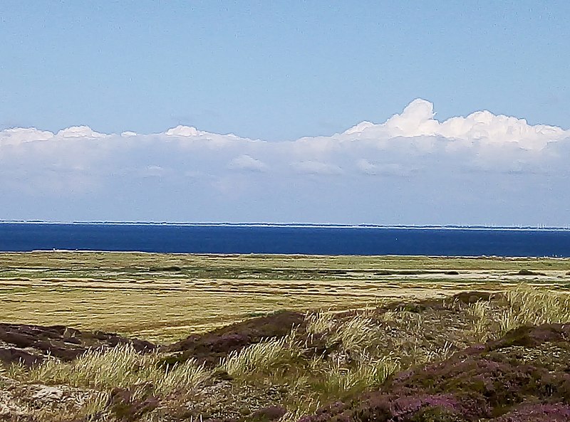 File:Landschaft (Insel Sylt-21).jpg