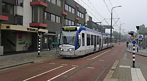 Lijn19.4056.Weigelia.2013.jpg