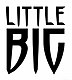 Little Bigs logo