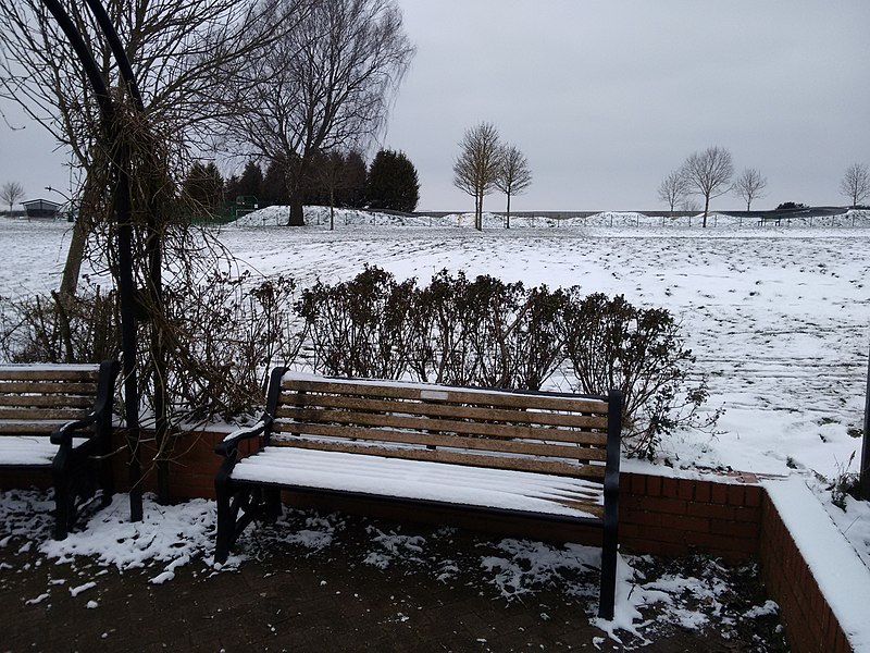 File:Long shot of the bench (OpenBenches 4785-1).jpg