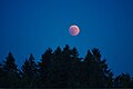 "Lunar_Eclipse_2018_SG_015_(28804398927).jpg" by User:B dash