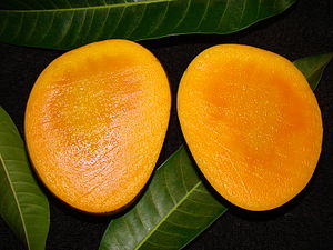 MangoAlphonso05 Asit.jpg