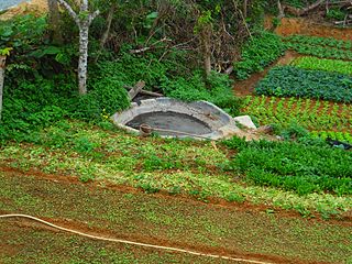 <span class="mw-page-title-main">Organic fertilizer</span> Fertilizer developed from natural processes