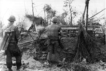 U.S. Marines move through the ruins of the hamlet of Dai Do after several days of intense fighting Marines in DaiDo Vietnam during Tet Offensive 1968.jpg