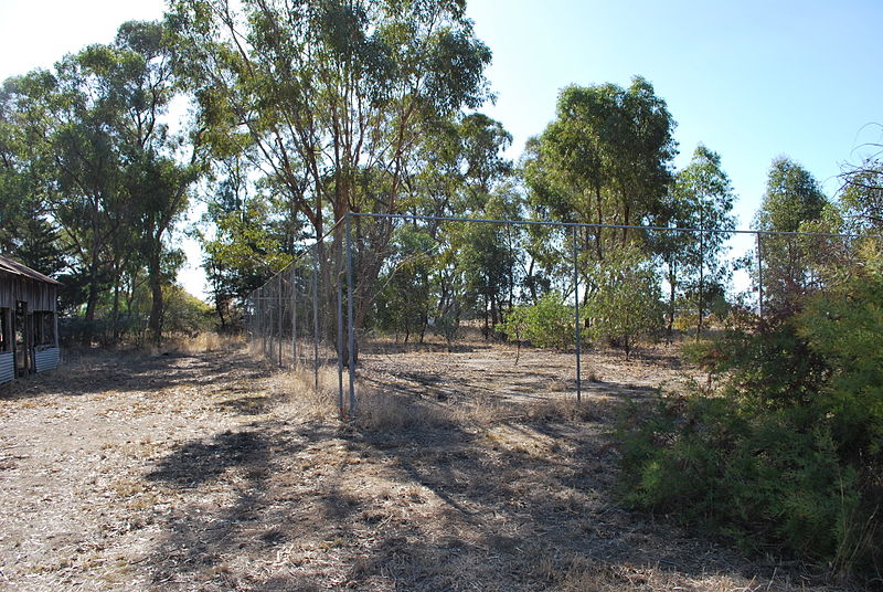 File:Marungi Tennis Club 002.JPG