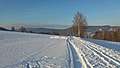 Pohled na Maternici, uprostřed údolí potoka Materník, dělící Jestřebí hory na Žaltmanský hřbet (vlevo) a Maternický hřbet (vpravo)