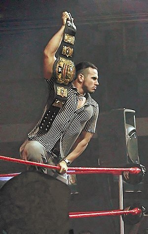 Matt Hardy: Biographie, Carrière, Caractéristiques au catch