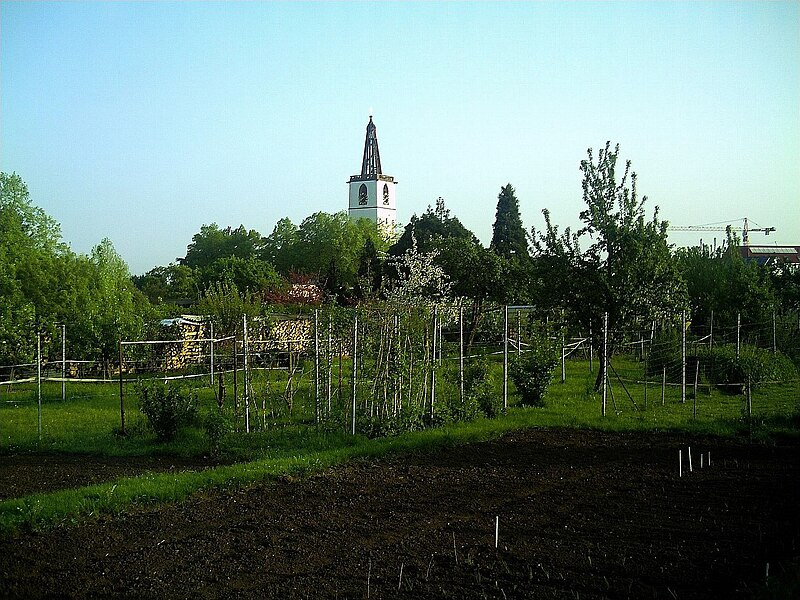 File:May 2013 Denzlingen - panoramio (1).jpg