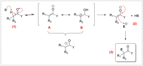 Mecanismo da reacao de susbstituicao alfa-carbonila