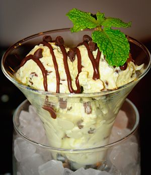 Mint Chocolate Chip Ice Milk from Little Oven (4149894986).jpg