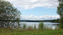 Molkomssjöns østlige side mod nord.
