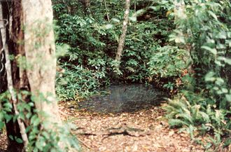 Moss's Well Moss's Well.jpg