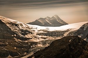 View from Mount Wilcox to Mount Bryce